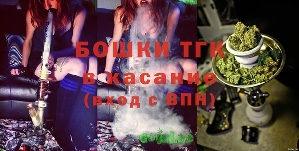 крисы Алексин