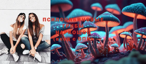 молекула духа Каменка