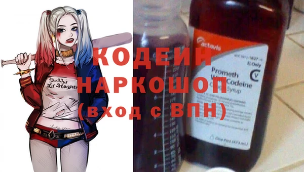 молекула духа Каменка