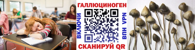 Галлюциногенные грибы MAGIC MUSHROOMS Купить закладки Владикавказ